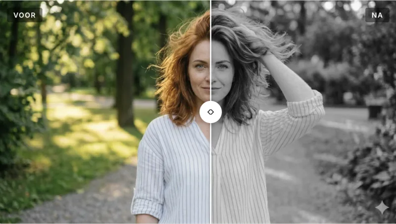Voorbeeld van presets op fotografie-presets.nl